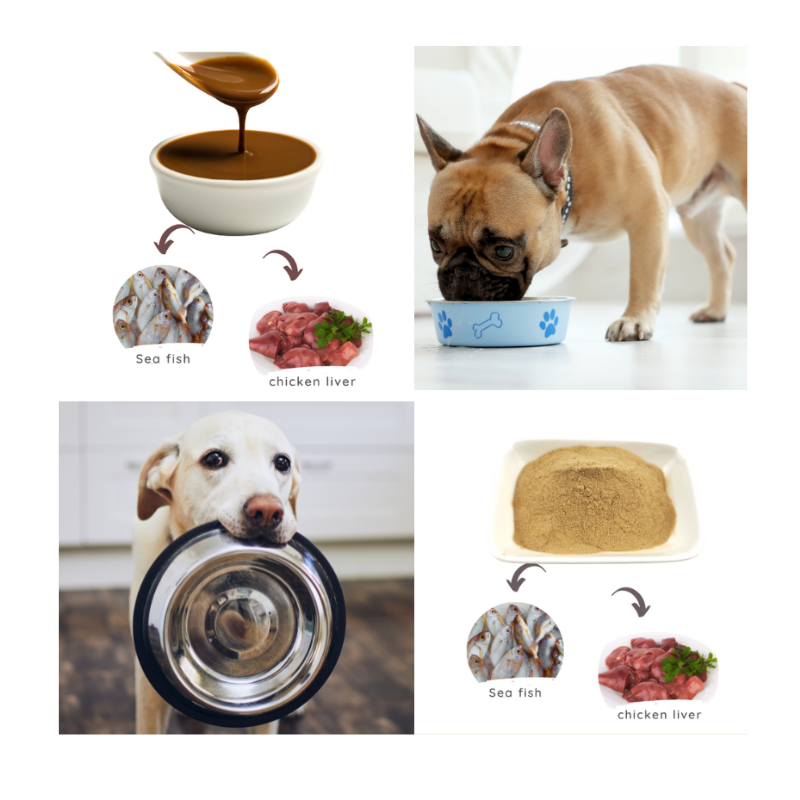 Dog Food Enhancer Factory - Chicken Flavor Dry Kibble Additive