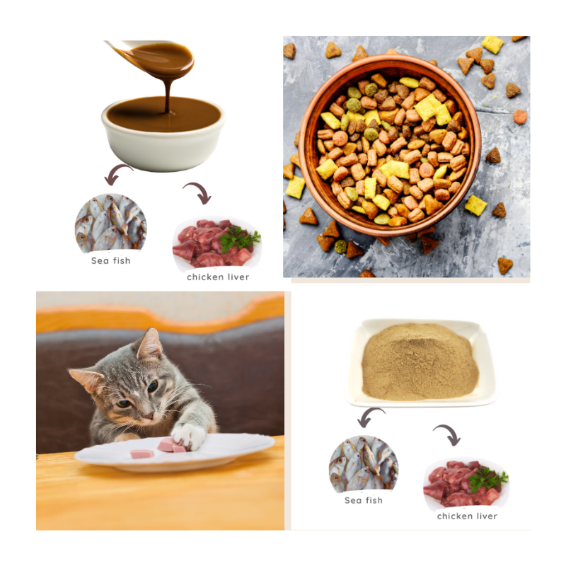 Dog Food Enhancer Factory - Chicken Flavor Dry Kibble Additive