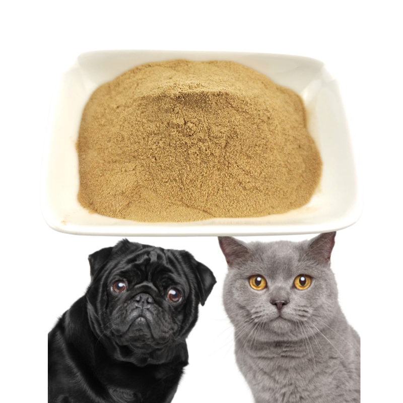 Cat Food Palatants Supplier - Innovative Flavor Enhancers