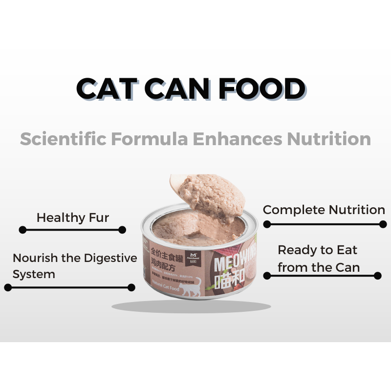 Wet Cat Food Manufacturer - Meat Chicken Pouch Grain-Free