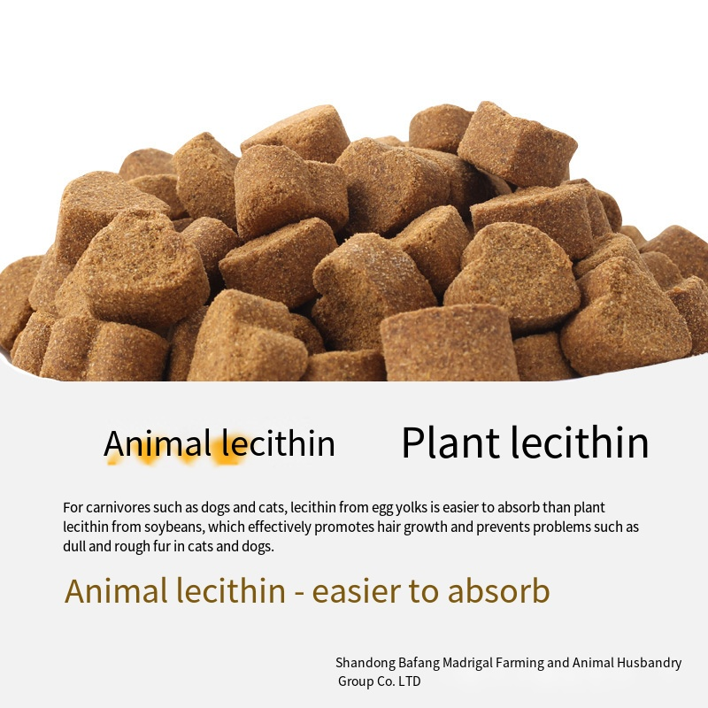 Pet Digestive Supplement Manufacturer - Probiotic Allergy-Free