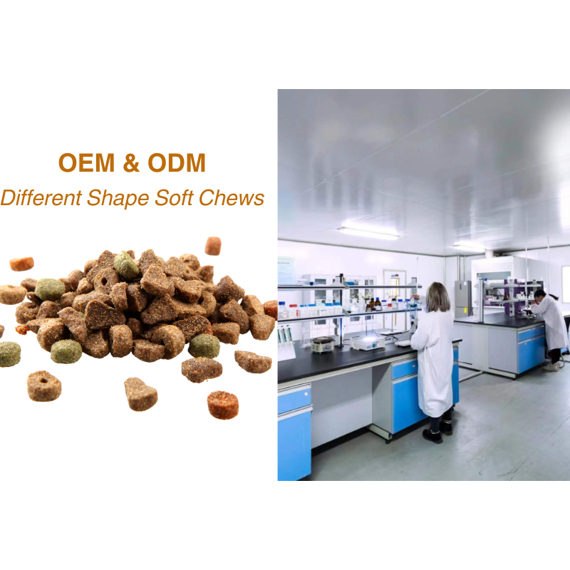 Pet Supplement Manufacturer - Private Label 11-in-1 Multivitamin