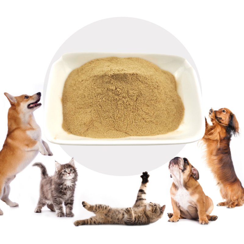 Cat Food Palatants Supplier - Innovative Flavor Enhancers