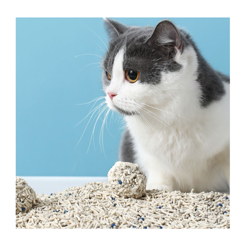 Tofu Cat Litter Supplier - Natural Clumping Milk Fragrant