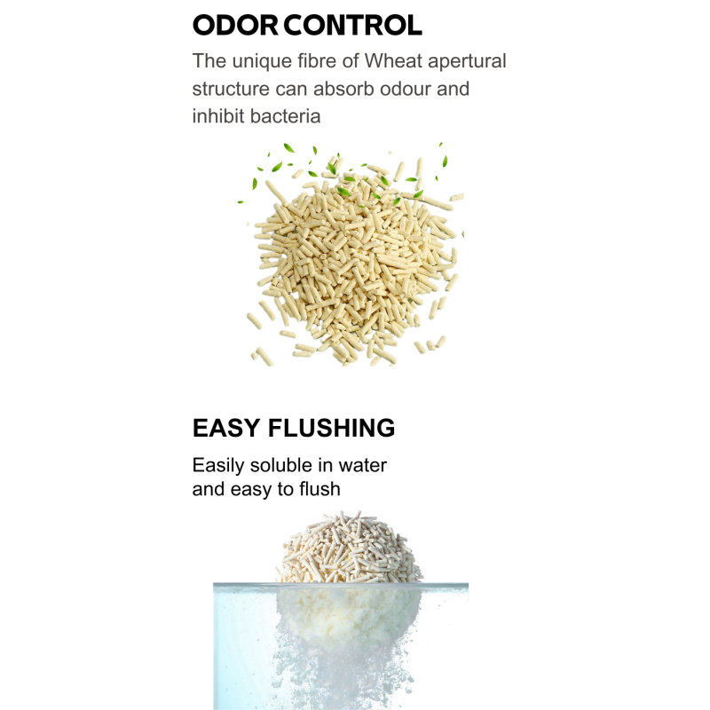 Cat Sand Manufacturer - Premium Natural Silica Gel Custom