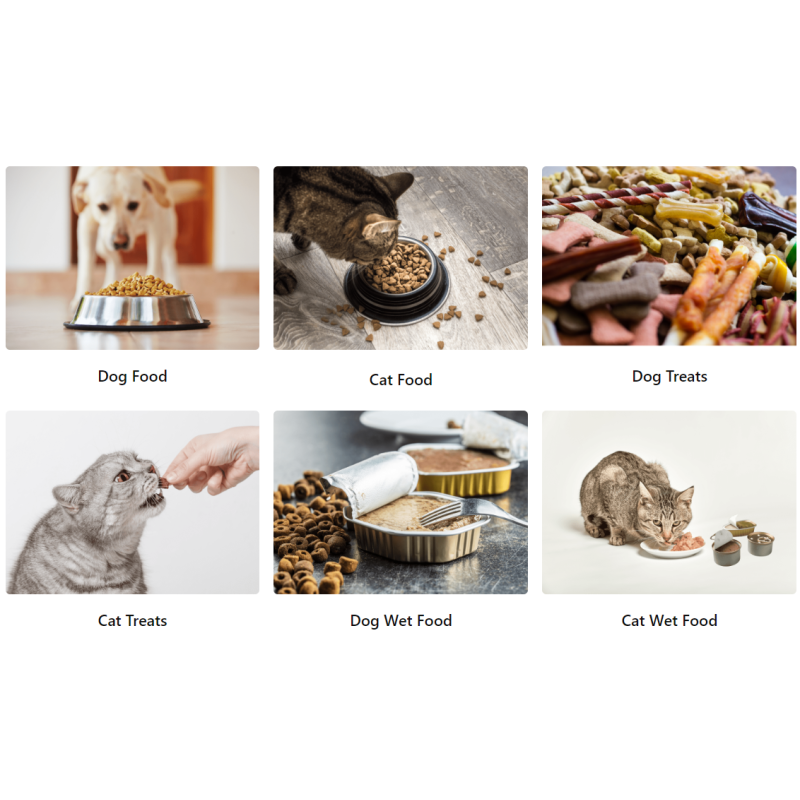 Pet Food Flavoring Manufacturer - Best Palatability Solutions