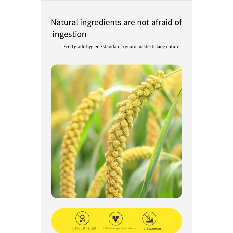 Tofu Cat Litter Supplier - New Product 6L Super Absorbent