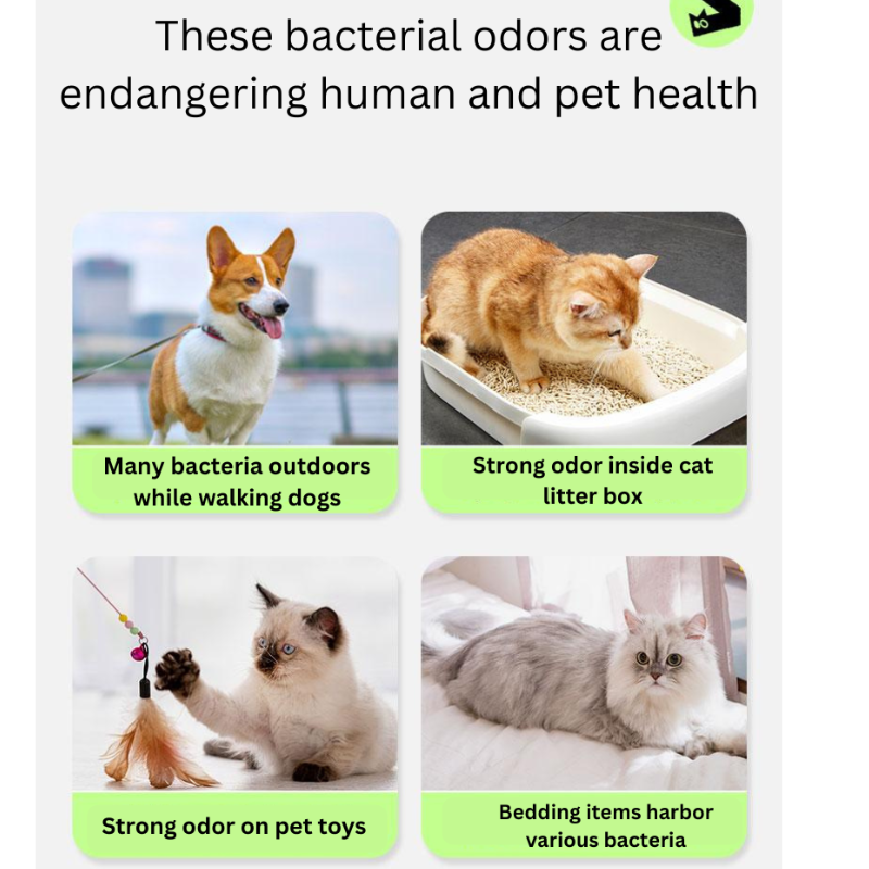 Pet Deodorant Spray Factory - Sterilization Urine Odor 50ml