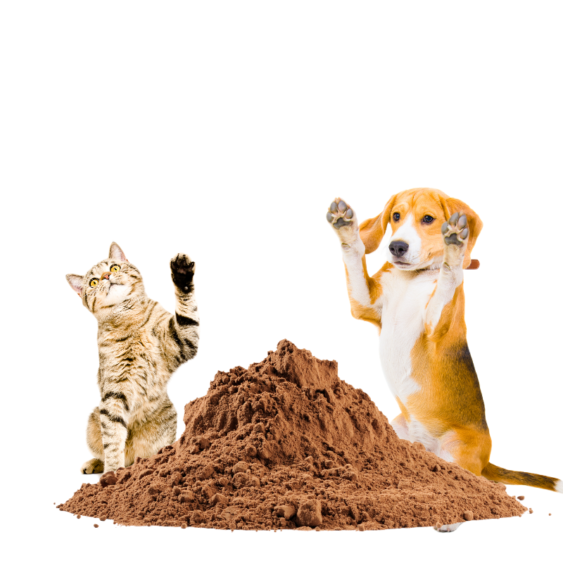 Cat Food Enhancer Factory - Hydrolyzed Chicken Liver Powder