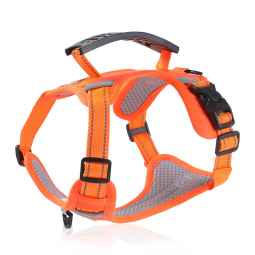 Pet Feeder Factory - Hot Sale Double Bowl Automatic Cat Dog Food Water Dispenser Factory Customized