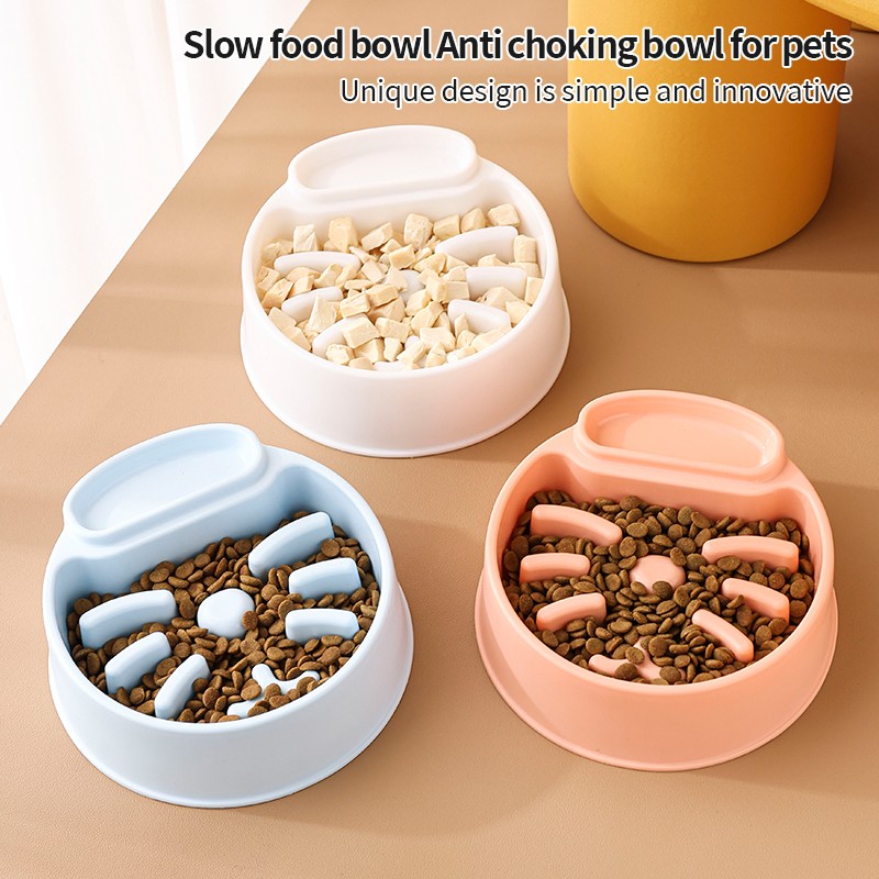 Pet Bowls Factory - High Quality Environmentally Friendly Design Recycled Plastic Colorful Slow Eating