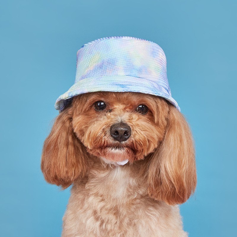 Dog Hat Manufacturer - Cute Bucket Hat Outdoor Summer Fun Shading Cap Ear Holes Adjustable Corduroy