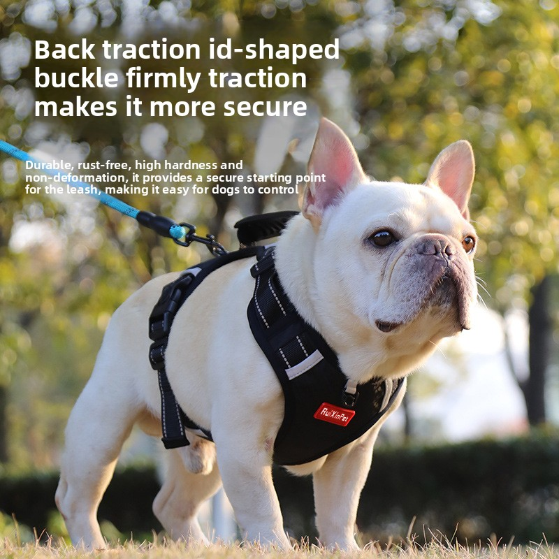 Pet Feeder Factory - Hot Sale Double Bowl Automatic Cat Dog Food Water Dispenser Factory Customized