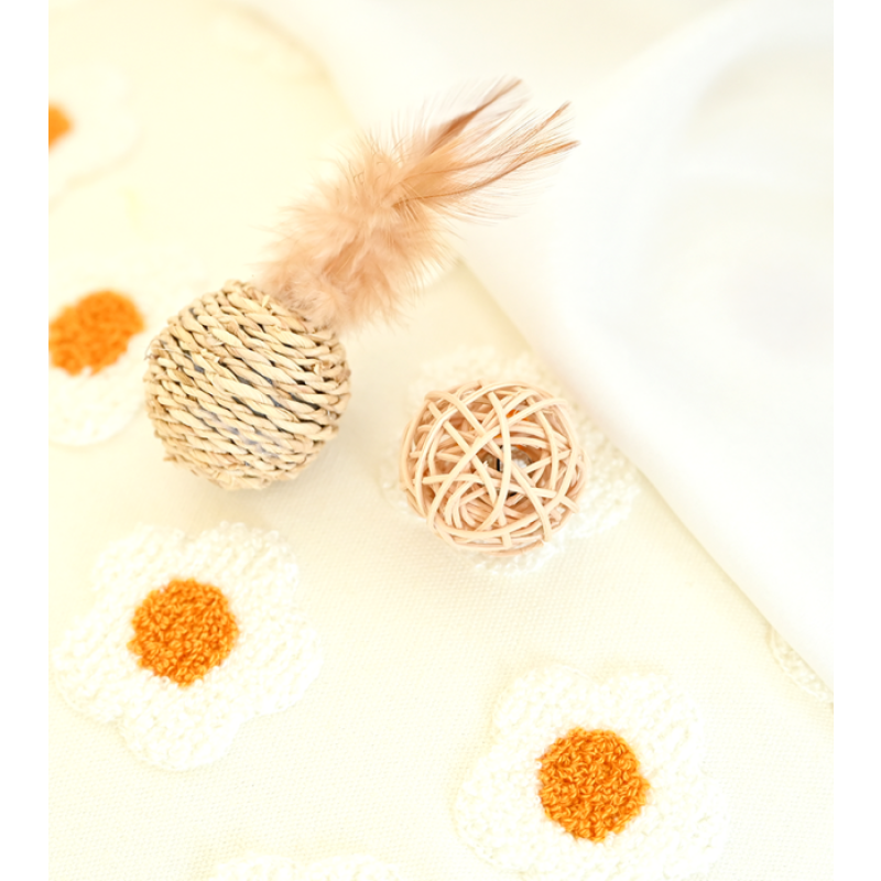 Pet Toy Ball Manufacturer - Hot Selling High Quality Durable Indoor Outdoor Interactive Exercise