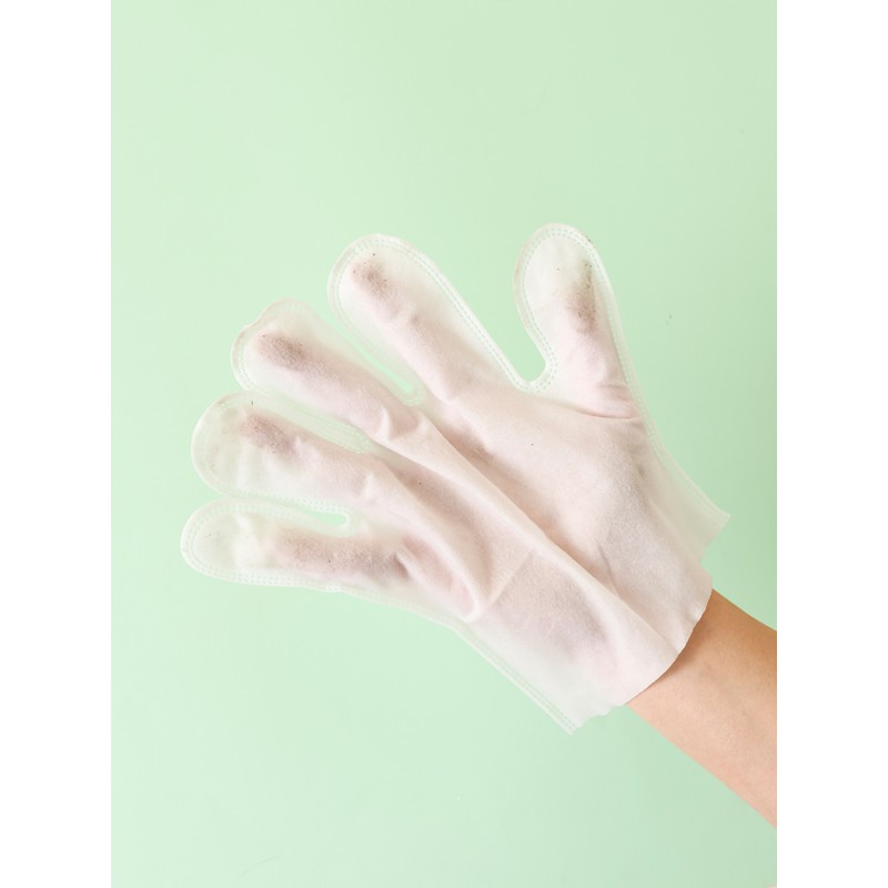 Pet Cleaning Gloves Supplier - Wholesale Deodorizing Environmentally Friendly Disposable Cleaning Gloves