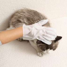 Pet Cleaning Gloves Supplier - Wholesale Deodorizing Environmentally Friendly Disposable Cleaning Gloves