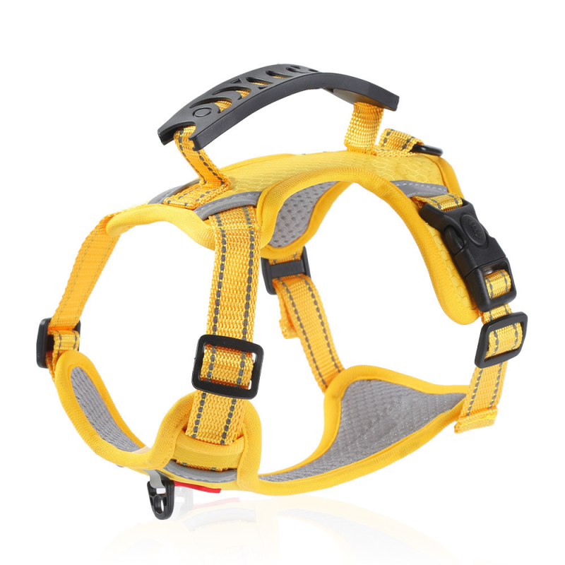 Pet Feeder Factory - Hot Sale Double Bowl Automatic Cat Dog Food Water Dispenser Factory Customized