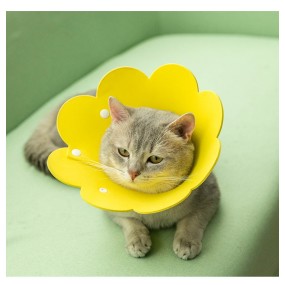 Pet Collars Supplier - Hot Selling Disinfection Anti Licking Recovery Protection Adjustable