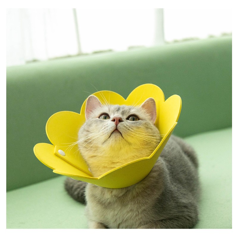 Pet Collars Supplier - Hot Selling Disinfection Anti Licking Recovery Protection Adjustable