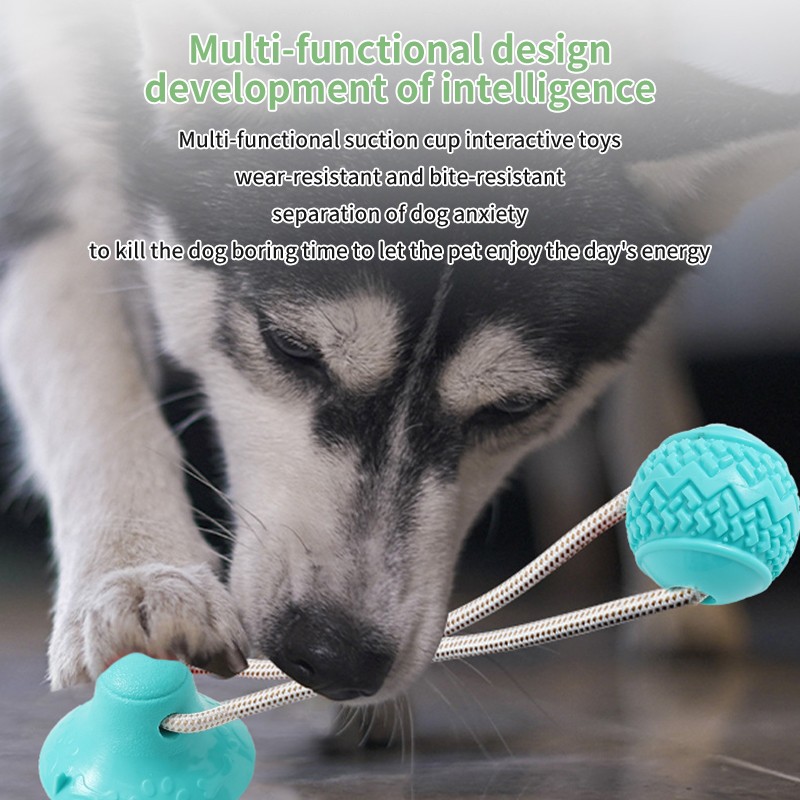 Pet Bone Toy Factory - Hot Selling Suction Cup Multifunctional Chew Grind Teeth Bite Resistant