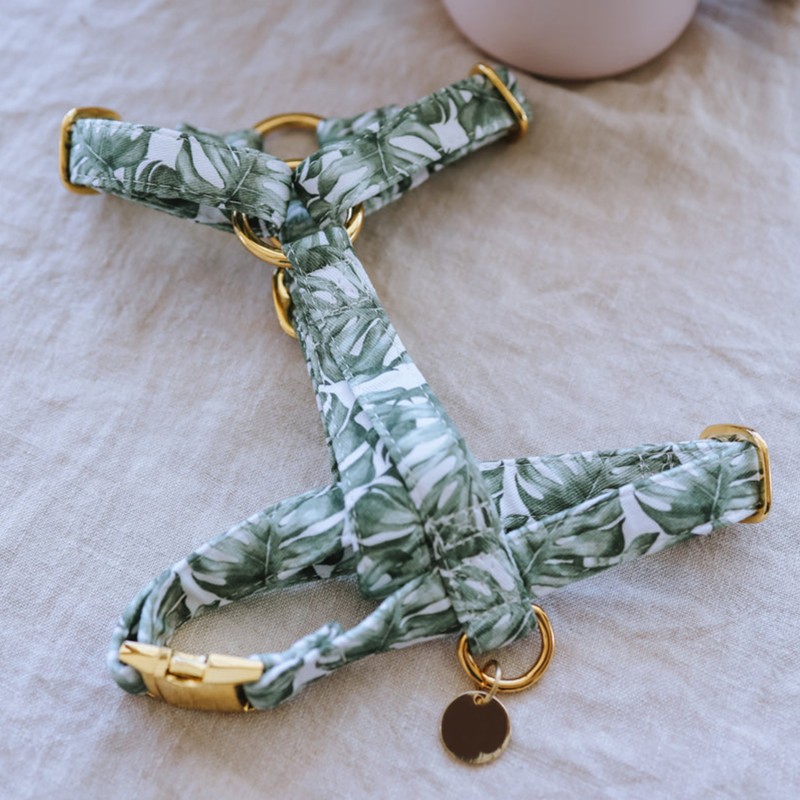 Pet Collar Supplier - Factory Direct Sales Nylon Luxury Adjustable Dog Chest Harness Bulk