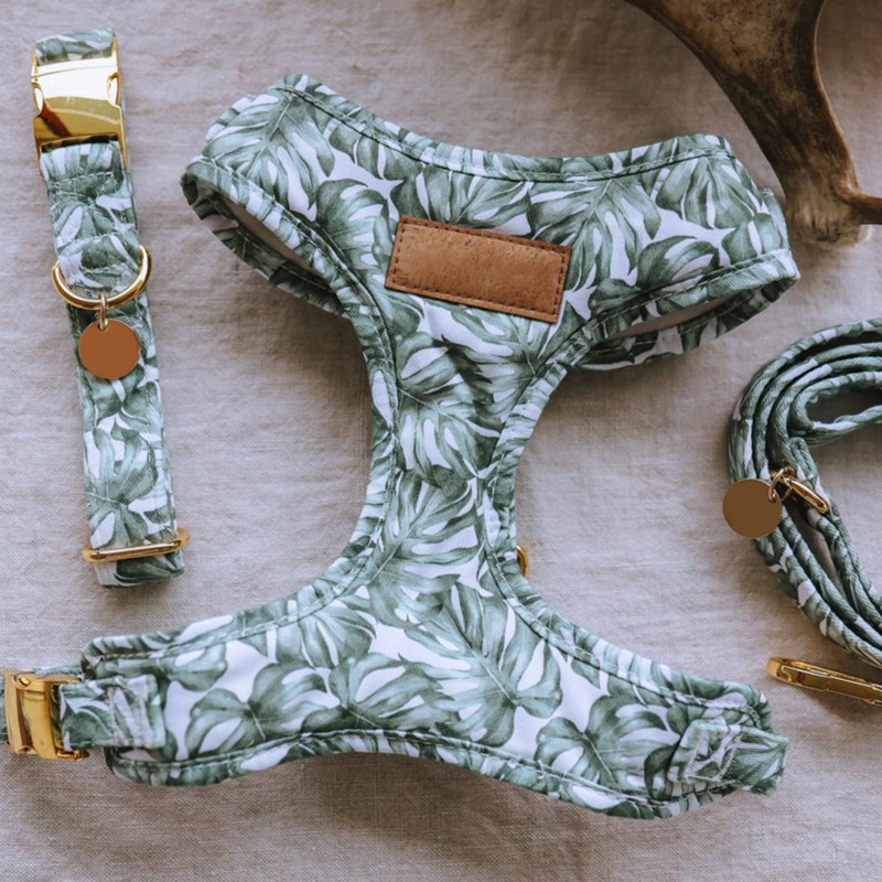 Pet Collar Supplier - Factory Direct Sales Nylon Luxury Adjustable Dog Chest Harness Bulk