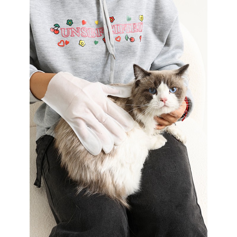 Pet Cleaning Gloves Supplier - Wholesale Deodorizing Environmentally Friendly Disposable Cleaning Gloves