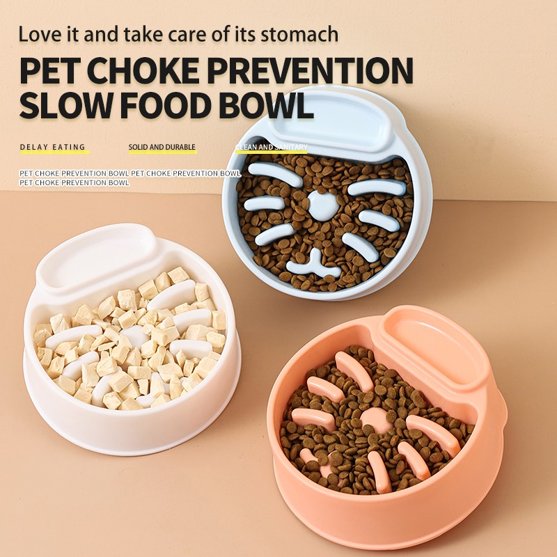 Pet Bowls Factory - High Quality Environmentally Friendly Design Recycled Plastic Colorful Slow Eating