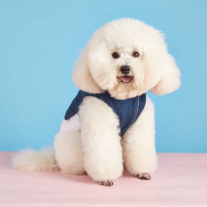 Dog Jeans Coat Factory - Wholesale Winter Two Legged Denim Fabric Fleece Lining Warm Sherpa Jacket