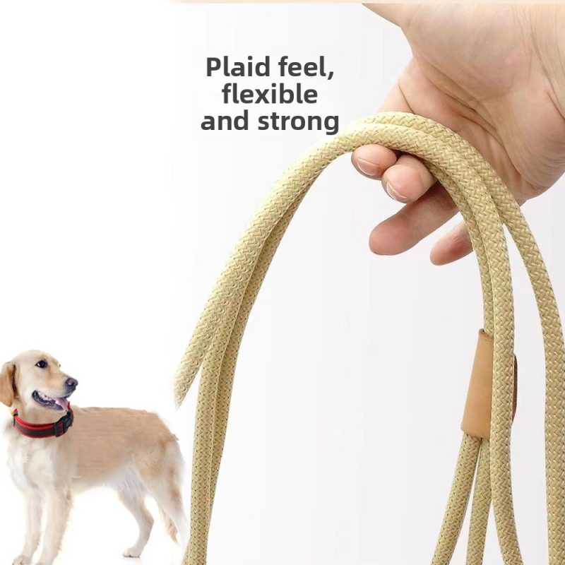 Pet Leash Factory - Extended 5m Multi-Nylon Durable Quick Release Light Features Outdoor Training