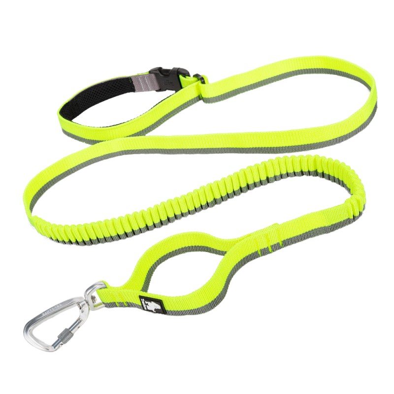 Elastic Dog Leash Manufacturer - High Quality Elastic Bungee Buffer Polyester Dog Leash for Training