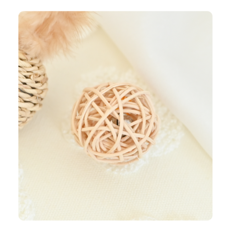 Pet Toy Ball Manufacturer - Hot Selling High Quality Durable Indoor Outdoor Interactive Exercise