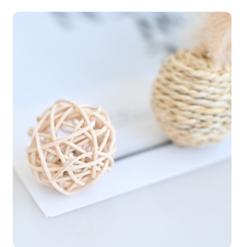 Pet Toy Ball Manufacturer - Hot Selling High Quality Durable Indoor Outdoor Interactive Exercise