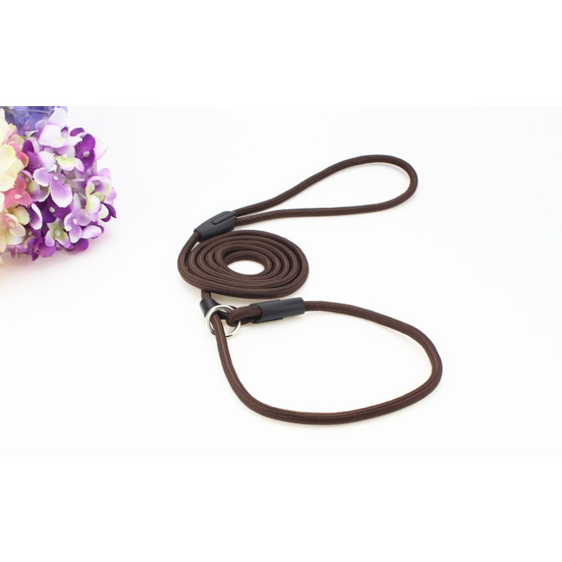 Pet Leash Manufacturer - Christmas Trends Personalized Polyester Hook Long Dog Cat Training Rope