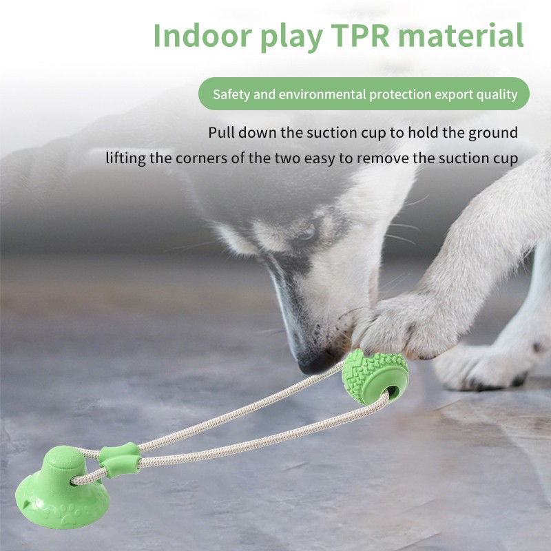 Pet Bone Toy Factory - Hot Selling Suction Cup Multifunctional Chew Grind Teeth Bite Resistant