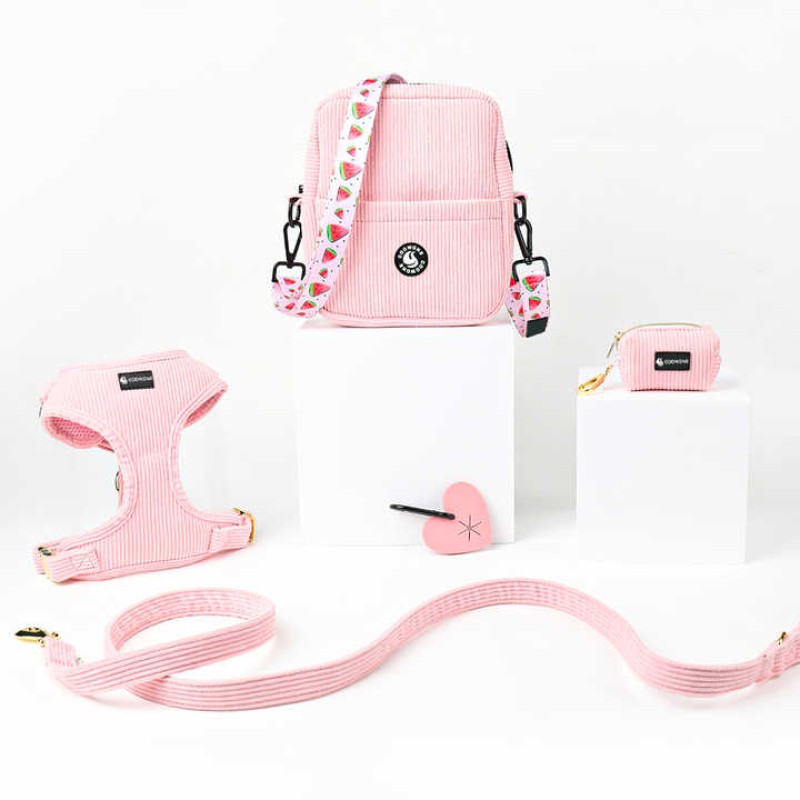 Dog Collar Set Manufacturer - Wholesale Personalized Designer Soft Padded Harness Set for Dog