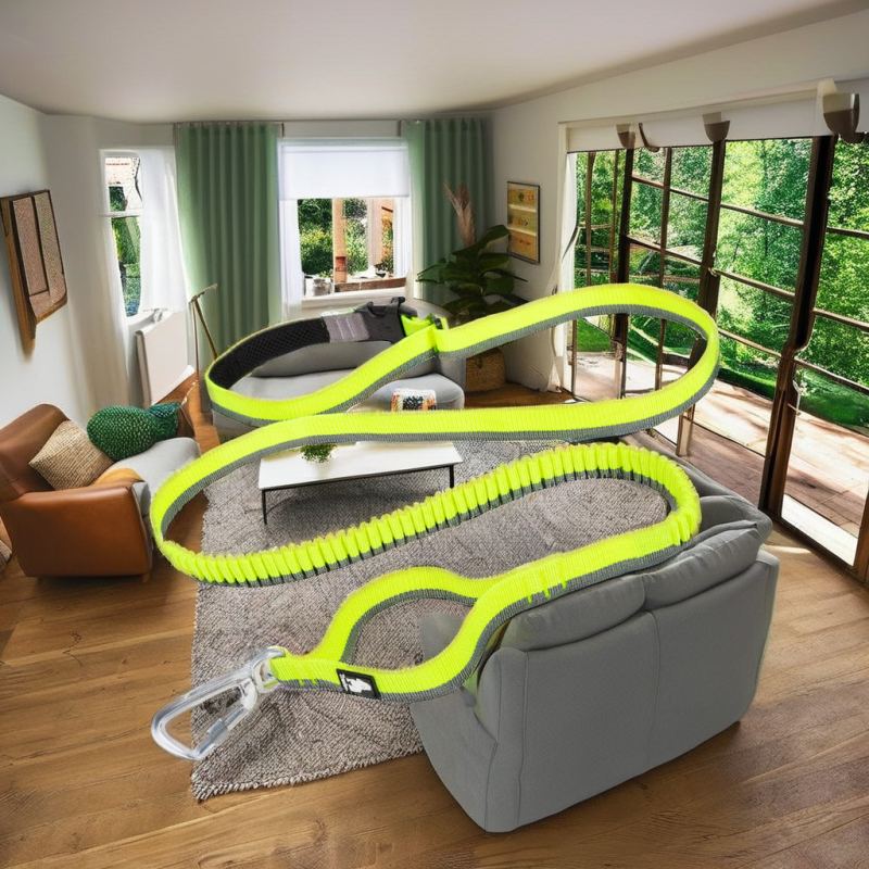 Elastic Dog Leash Manufacturer - High Quality Elastic Bungee Buffer Polyester Dog Leash for Training