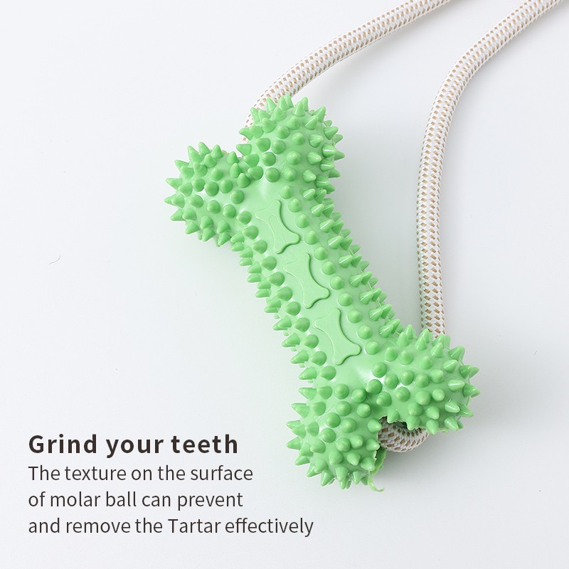 Pet Bone Toy Factory - Hot Selling Suction Cup Multifunctional Chew Grind Teeth Bite Resistant