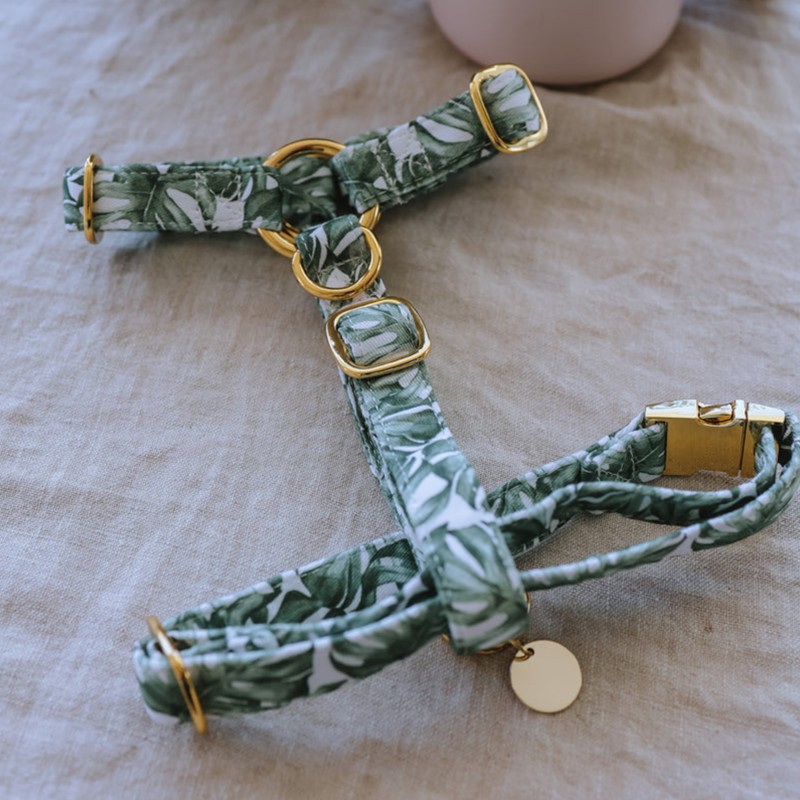 Pet Collar Supplier - Factory Direct Sales Nylon Luxury Adjustable Dog Chest Harness Bulk