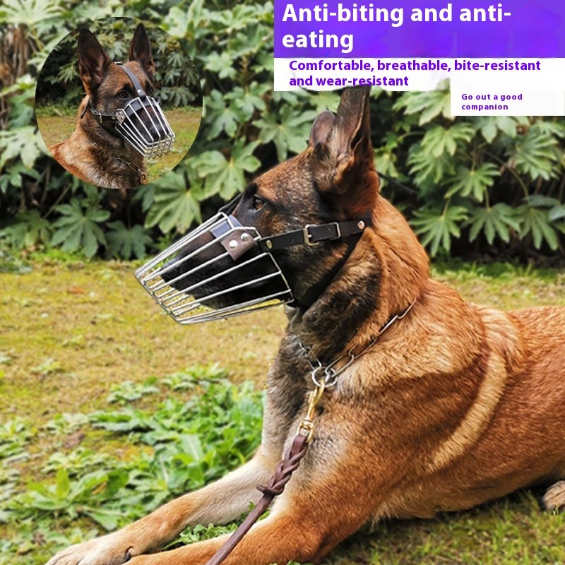 Pet Restraint Device Supplier - Modern Stainless Steel Telescopic Dog Catcher Restraint Device Pig Rope