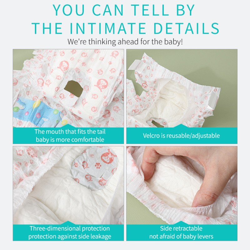 Pet Diapers Supplier - Manufacturer Provides Super Absorbent Leak Proof Disposable Diapers for Dogs
