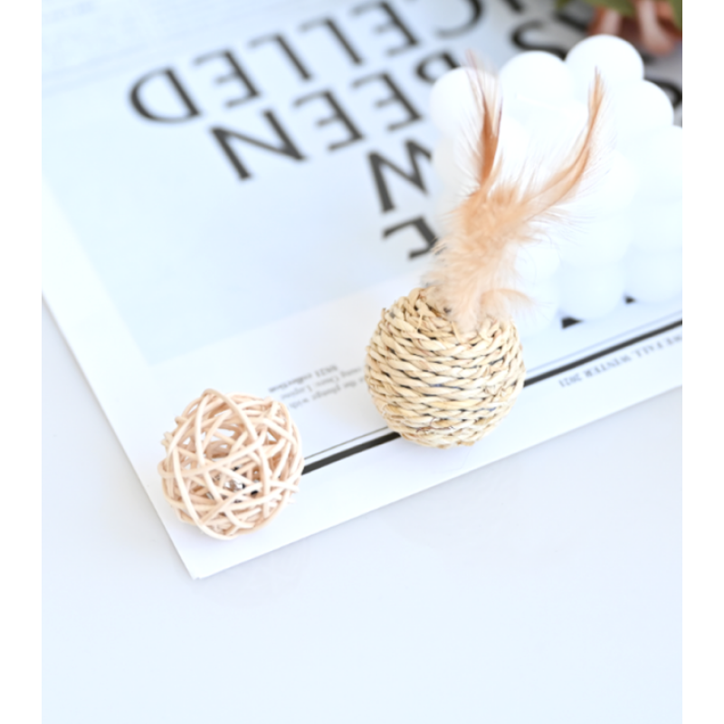 Pet Toy Ball Manufacturer - Hot Selling High Quality Durable Indoor Outdoor Interactive Exercise