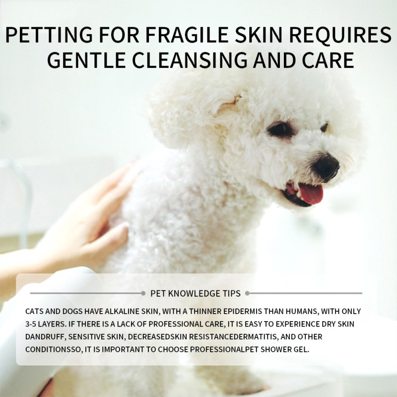 Pet Shampoo Supplier - Wholesale High Quality Gentle Friendly Non Irritating Large Capacity Shampoo