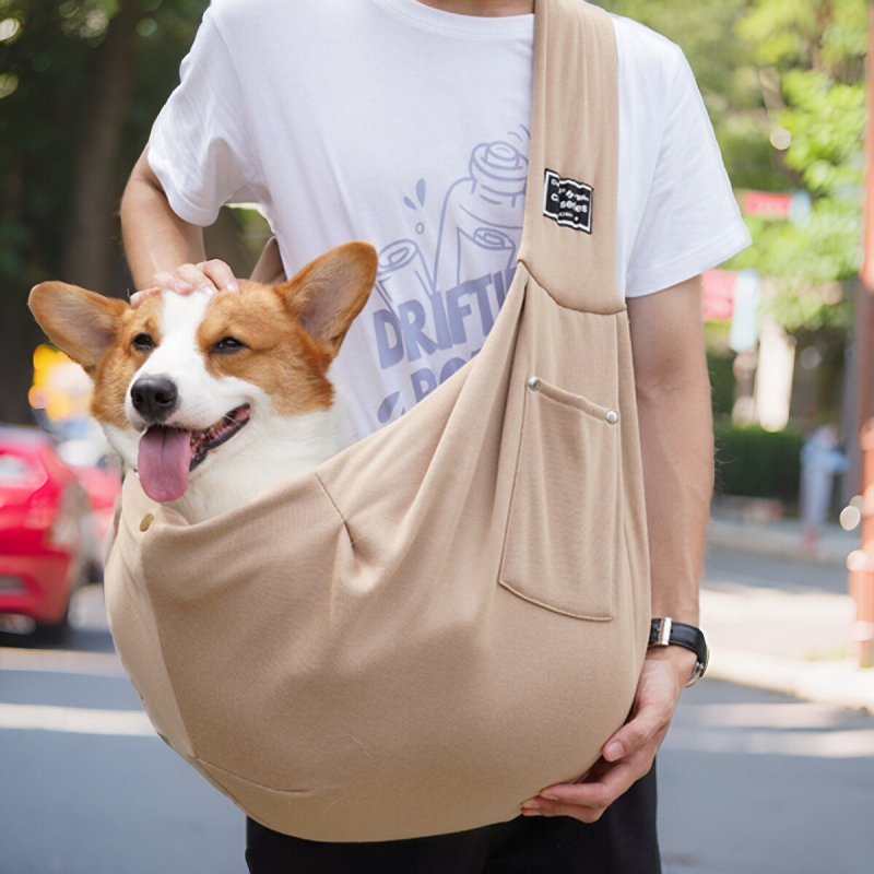 Pet Carrier Factory - Capsule Transparent Outdoor Portable Travel Transport Carrier Tote Backpack Large Capacity