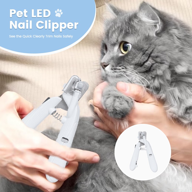 Pet Grooming Tool Supplier - Wholesale Stainless Steel Nail