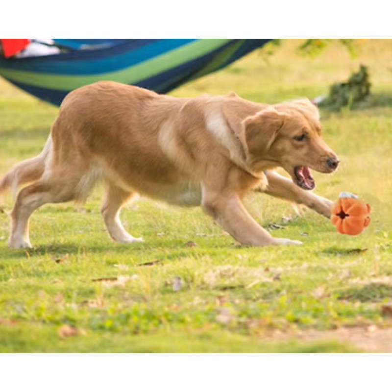 Pet Toy Manufacturer - Engaging Chew Halloween Pumpkin