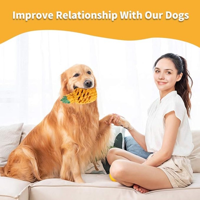 Dog Chew Toy Supplier - Pineapple Indestructible Tough Treat