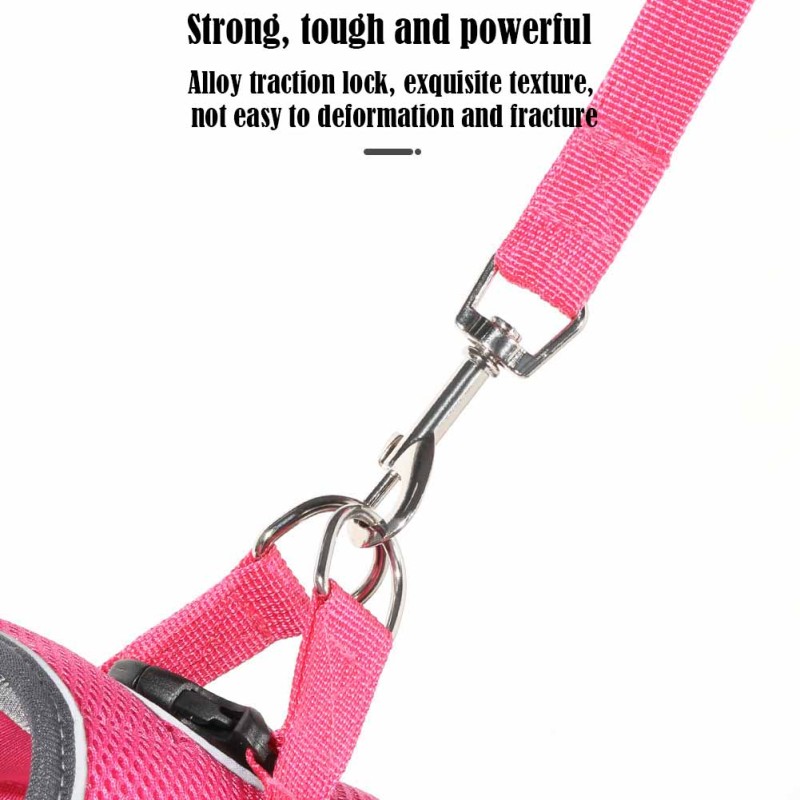 Pet Harness Supplier - Custom Adjustable Nylon No-Pull