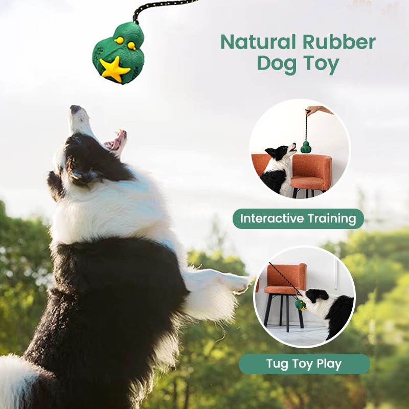 Pet Toy Supplier - Interactive Bite Resistant Hollow Ball