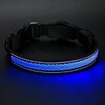 Pet Collars